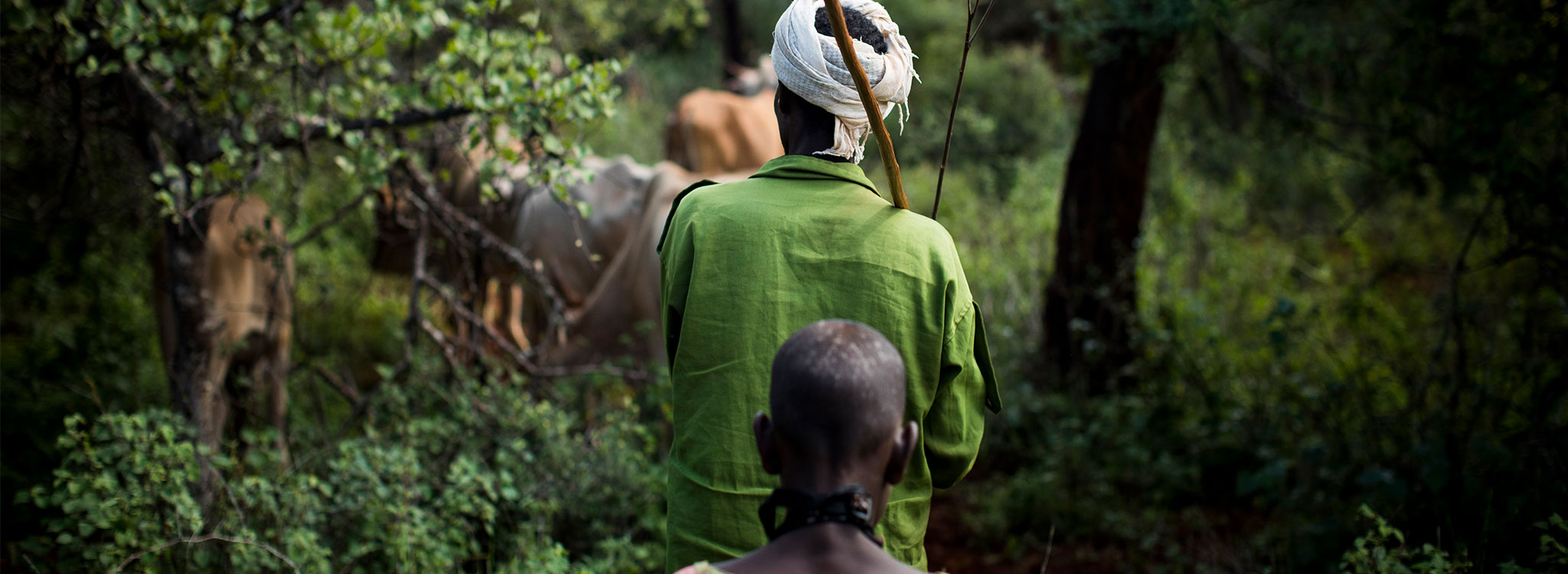 Ethiopia Where We Work Action Against Hunger