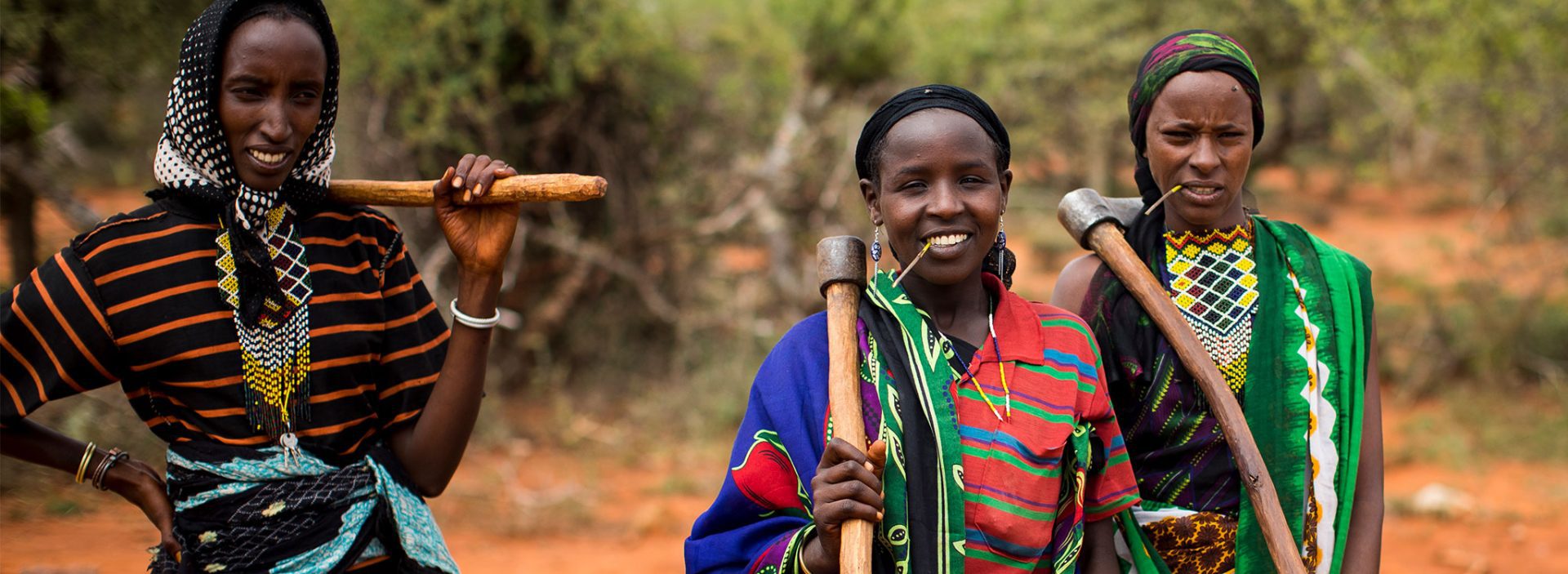 Women standing with tools to harvest crops