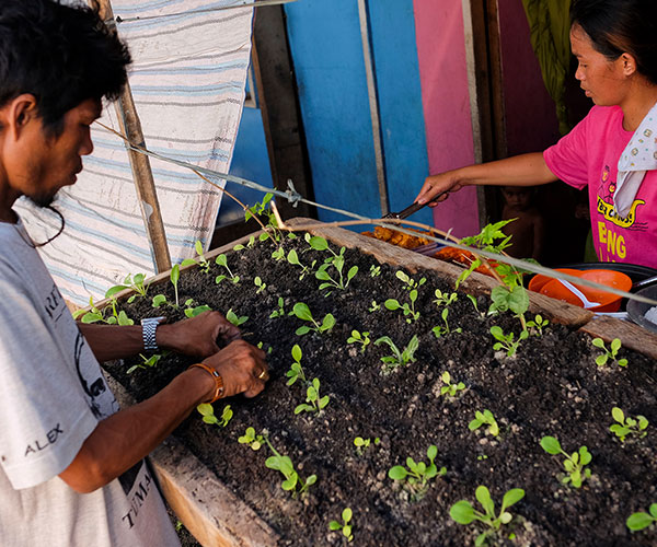 Woman planting crops in the Philippines