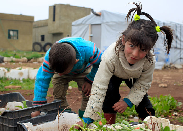 Syrian refugees planting seeds