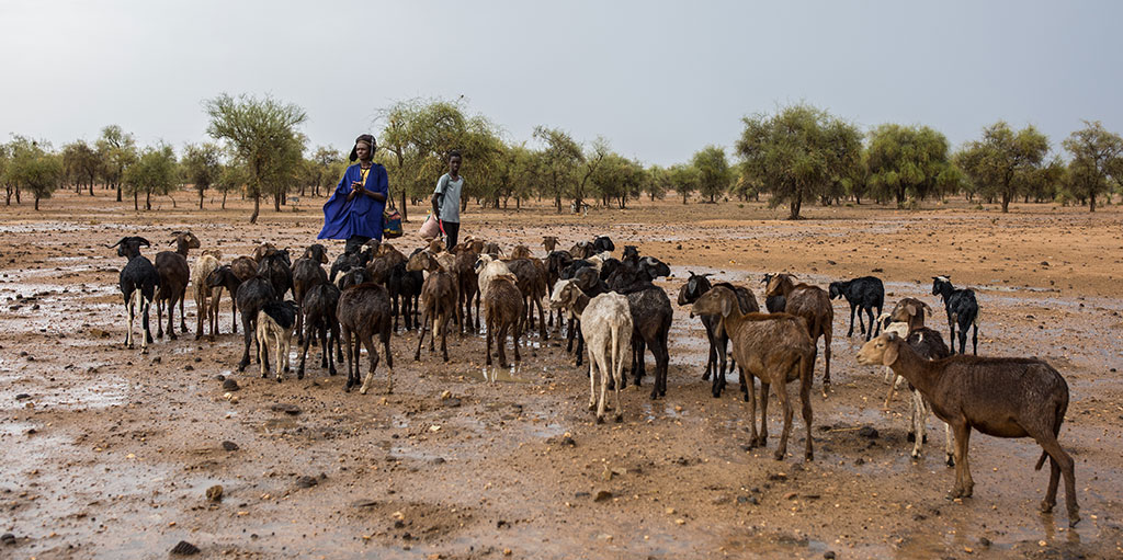 A group of herders in Mauritania. Their livelihoods have been affected by the climate crisis.