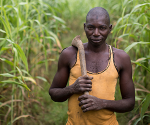 A man in his field at an Action Against Hunger project in Mali.