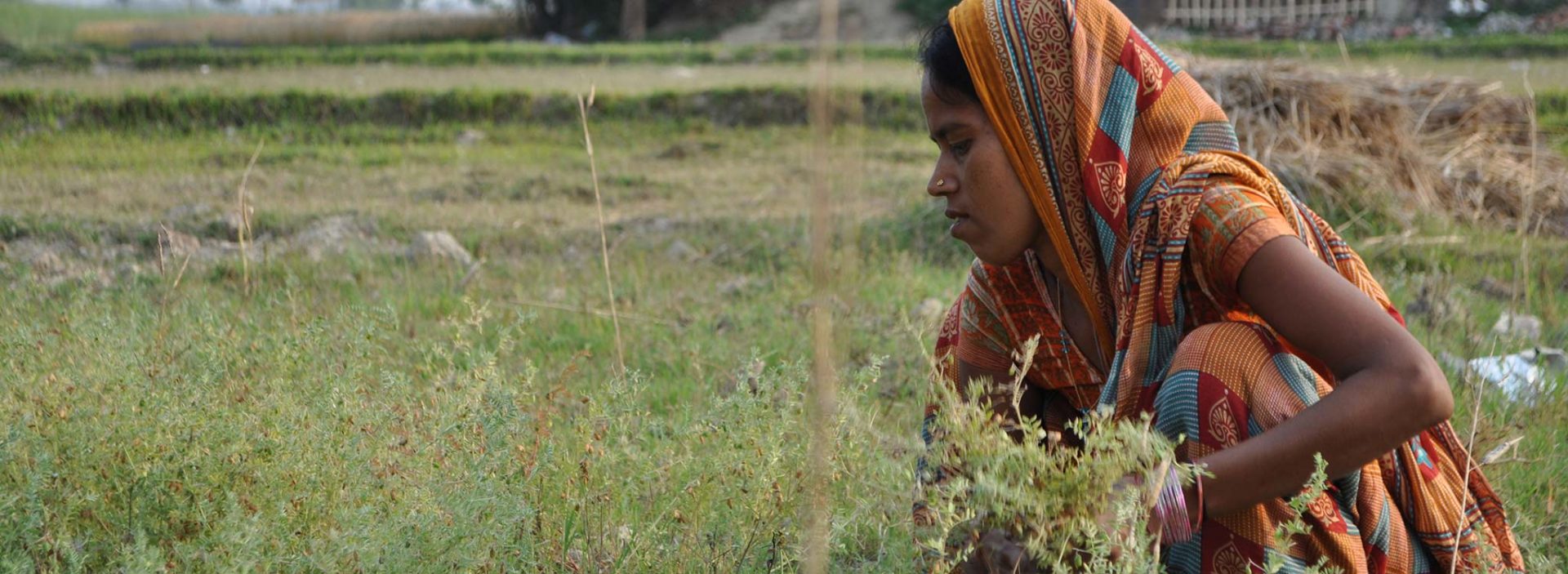 A woman works in a field near an Action Against Hunger project in Nepal.