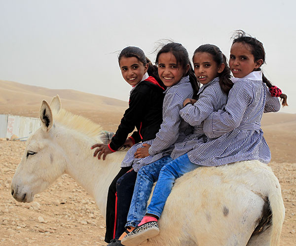 Girls sat on a donkey at an Action Against Hunger project in Occupied Palestinian Territory.