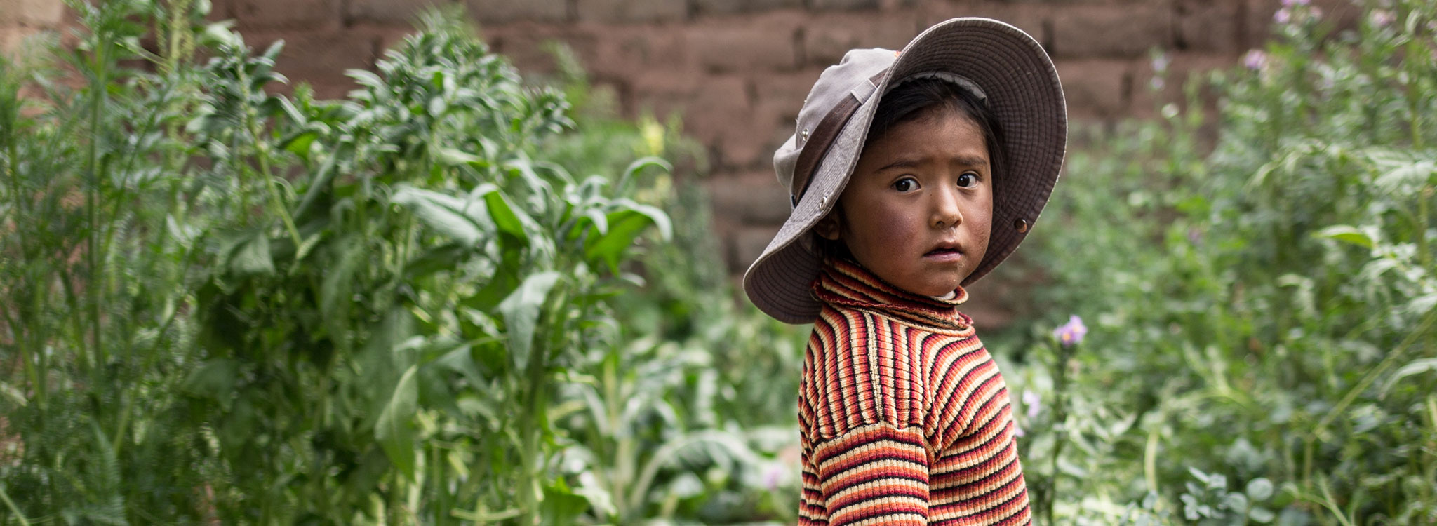 Peru Where We Work Action Against Hunger