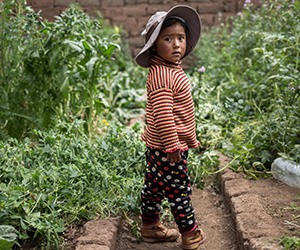 A child in a garden project supported by Action Against Hunger in Puno, Peru.