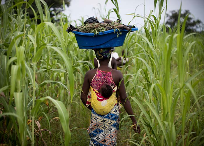 A woman walking through a field at an Action Against Hunger project in Mali.