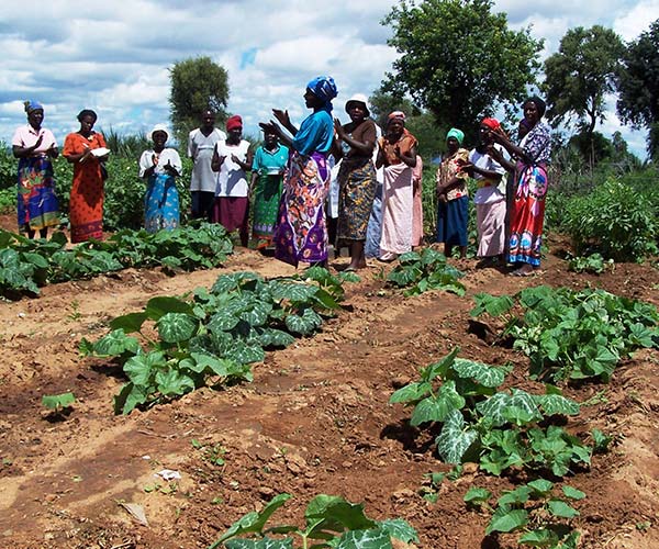 A group of women at an Action Against Hunger programmes in Zimbabwe.