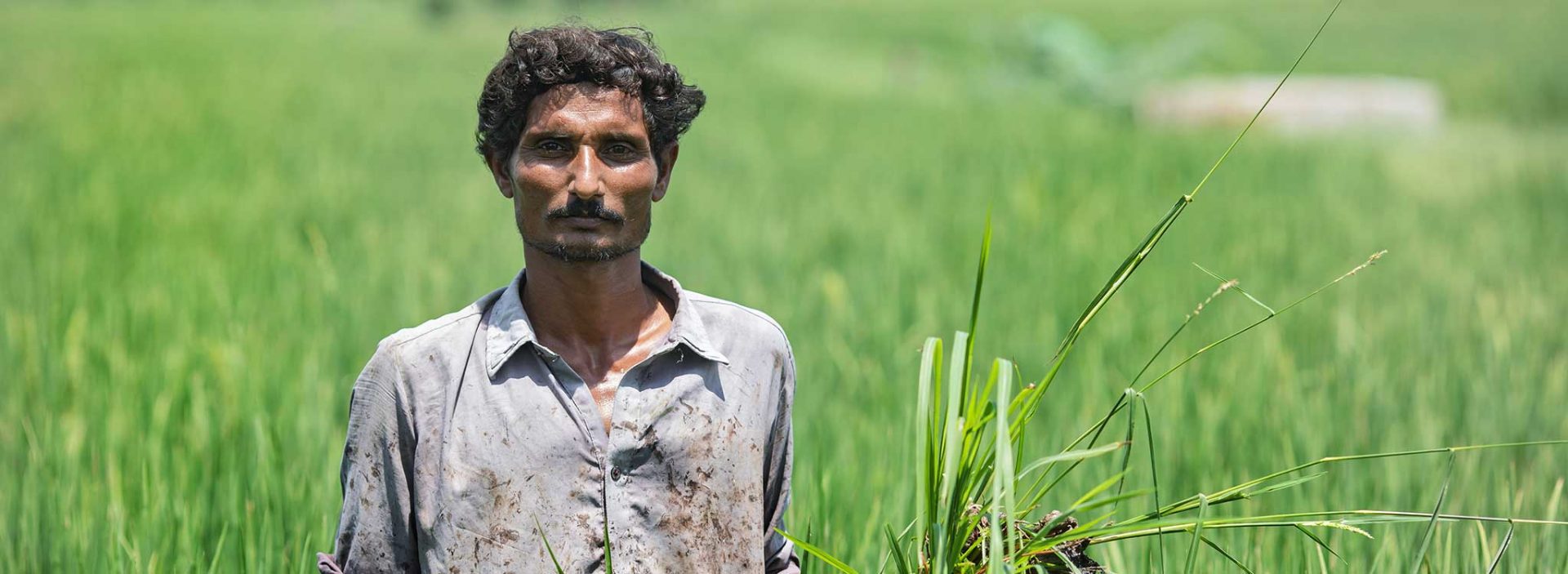 30-year-old Abdul received crop training from Action Against Hunger.