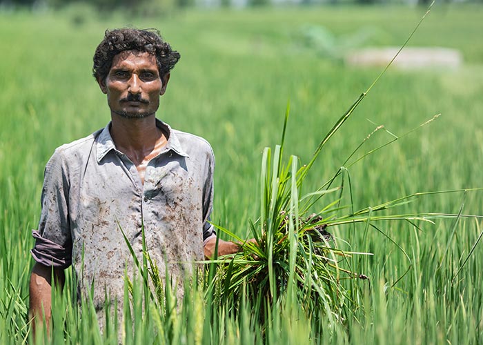 30-year-old Abdul received crop training from Action Against Hunger.