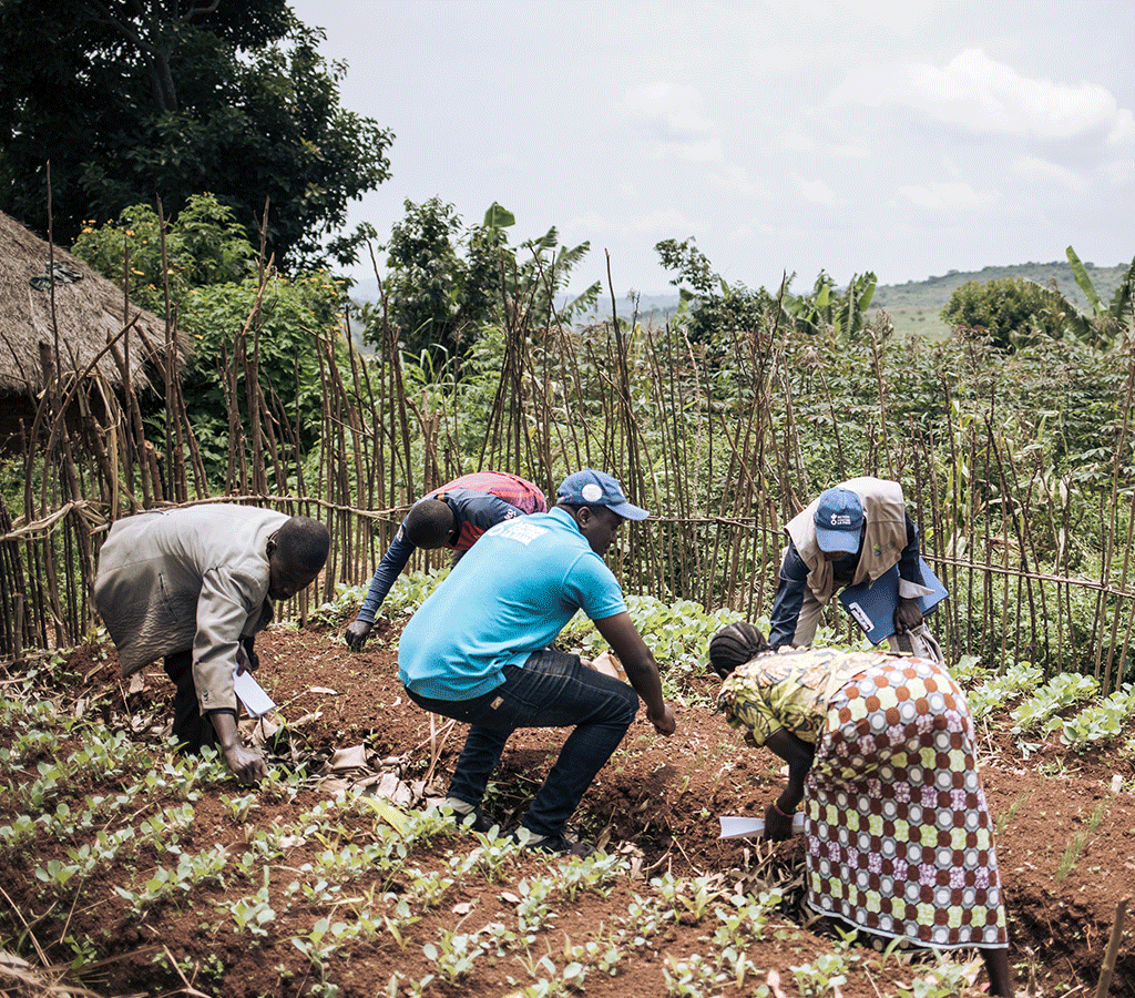 ACF animators advise relay farmers in the village of Bau, as part of the Action Against Hungers cultural revival project in DRC