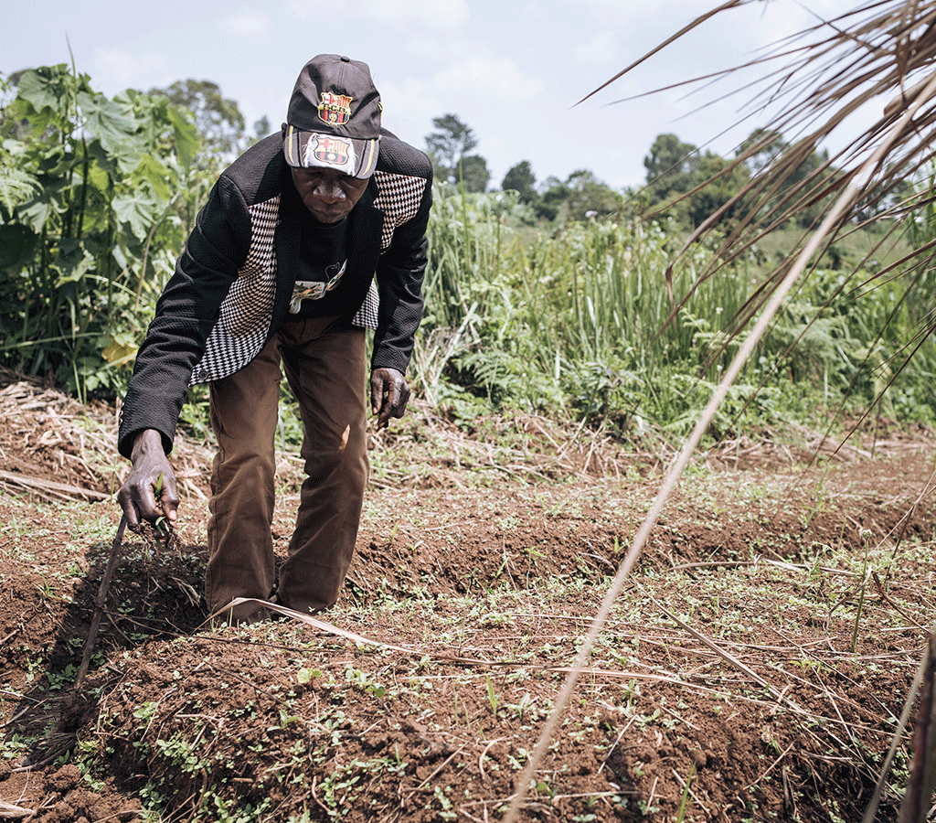 Farmer Georges Lokana Budza Loga uproots weeds in his nursery created as part of the Action Against Hunger agricultural revival project in DRC