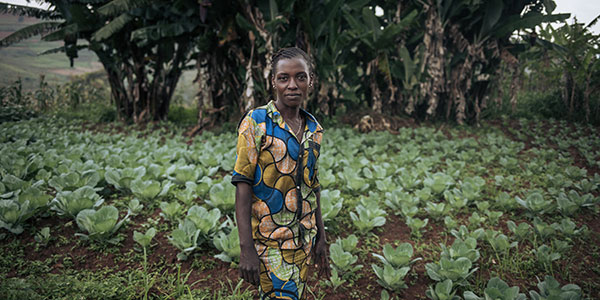 Alice in a cabbage field supported by Action Against Hunger in the Democratic Republic of Congo.