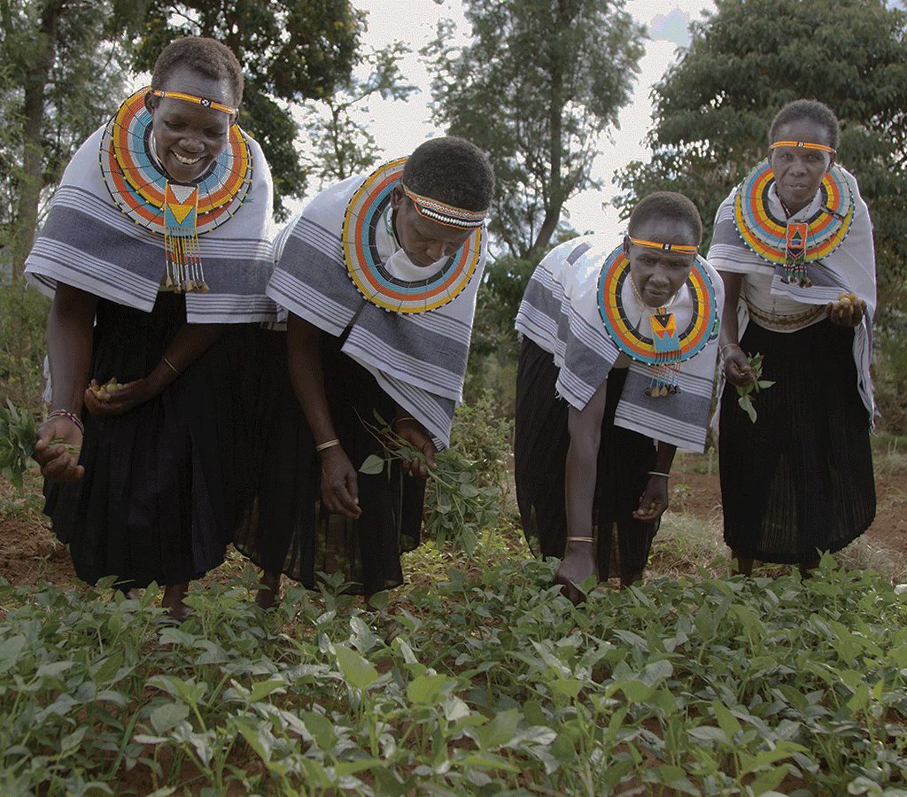 Women in the mother-to-mother support group in Kenya learn how to grow vegetables and farm food