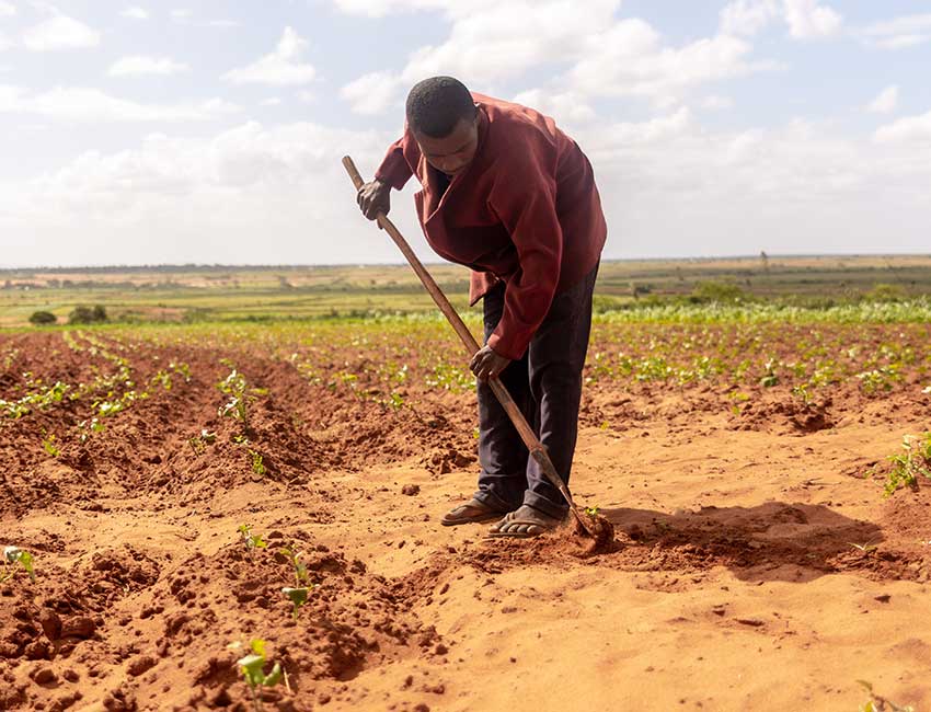 A farmer in Madagascar affected by the climate crisis.