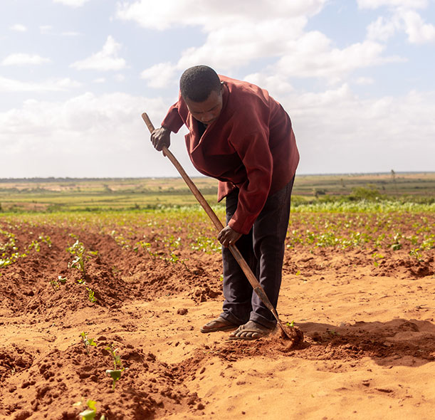 A farmer works in a drought-affected field in Madagascar.