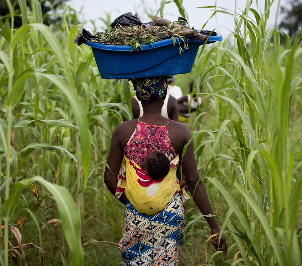 A woman walking through a field at an Action Against Hunger project in Mali.