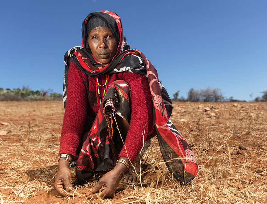 Darmi Doyo, 50, at her land that she cannot cultivate due to a continuing drought in Gomulle, Ethiopia.