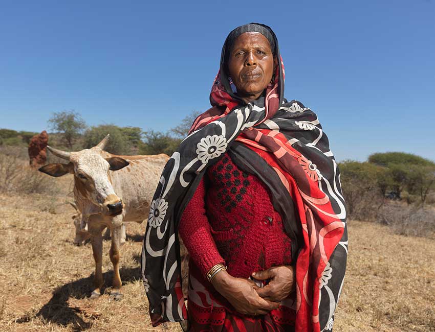 Darmi Doyo, 50, with her starving cattle in Gomulle, Ethiopia..