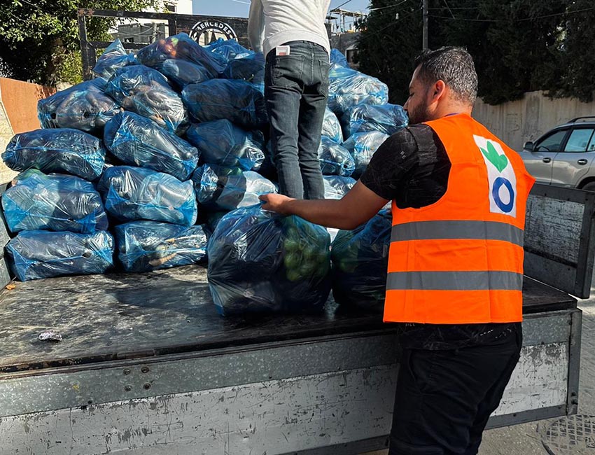 An Action Against Hunger team member distributes fresh fruit in Gaza.