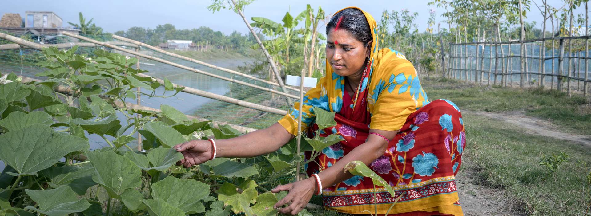 Rekha in Bangladesh tending her garden.