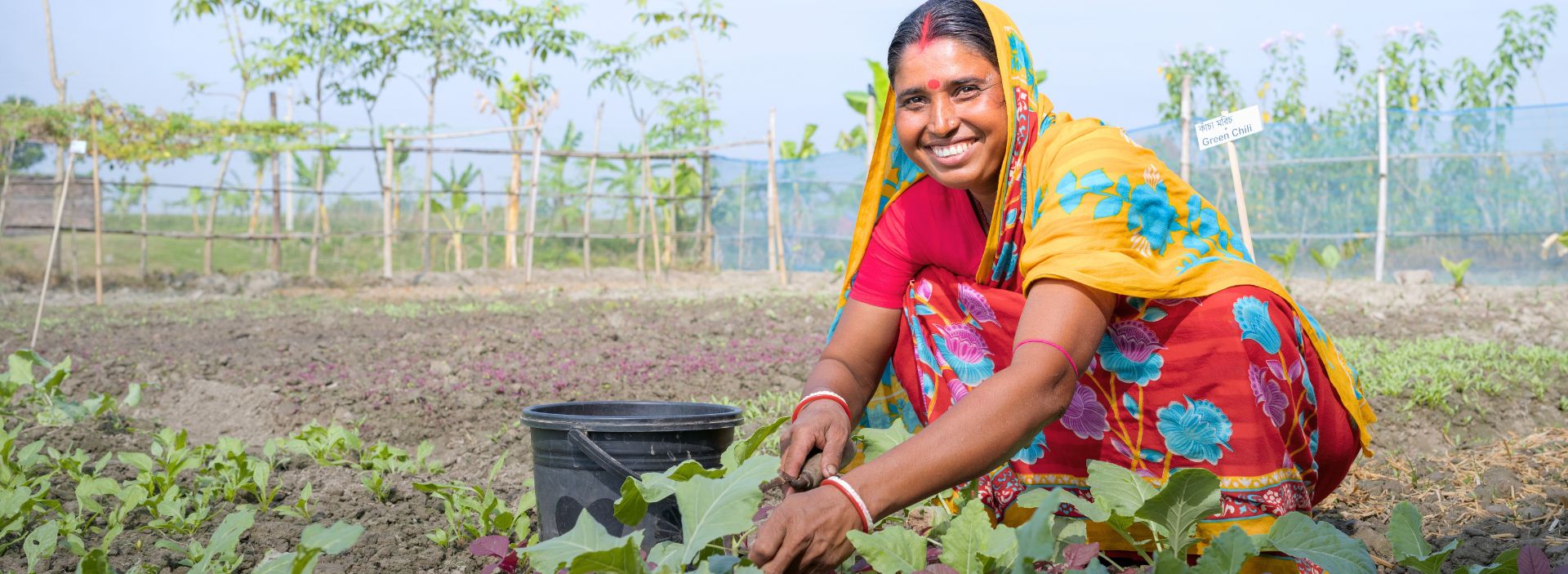 Women in Bangladesh tends to her kitchen garden.