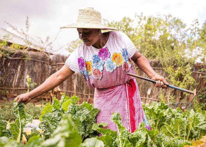 Salama, a farmer from Tanzania, tends to her kitchen garden.