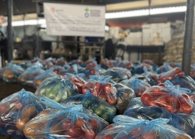 Emergency food for Palestinians in Gaza.